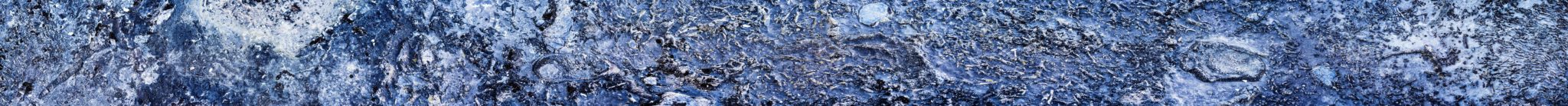 Rock Point Fossils (Series)